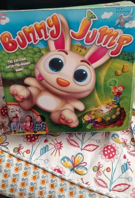 Photo of free Bunny Jump game (Buxted TN22) #1