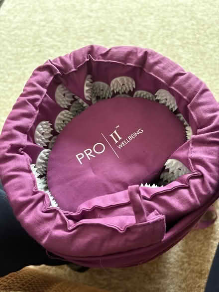 Photo of free Bed of nails acupressure mat (Glyn Ceiriog) #1