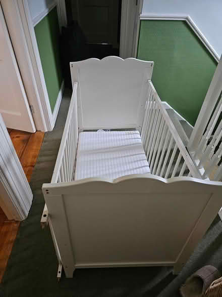 Photo of free Cot (Glenageary) #1