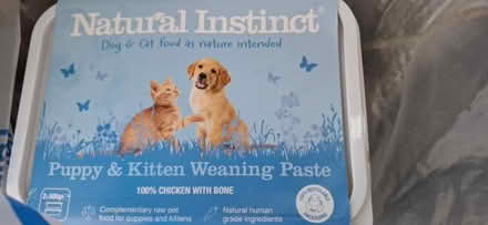Photo of free Puppy/kitten weaning food (frozen) (Malvern WR14) #2