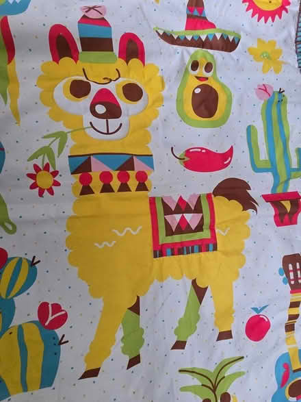 Photo of free Large play matt (IG6 3s) #3