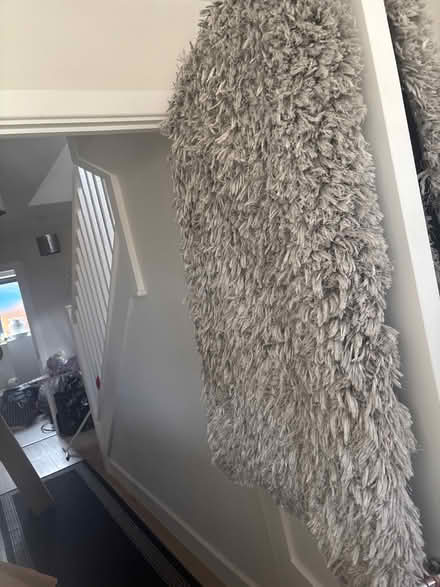 Photo of free Rug (Ryton CV8) #1