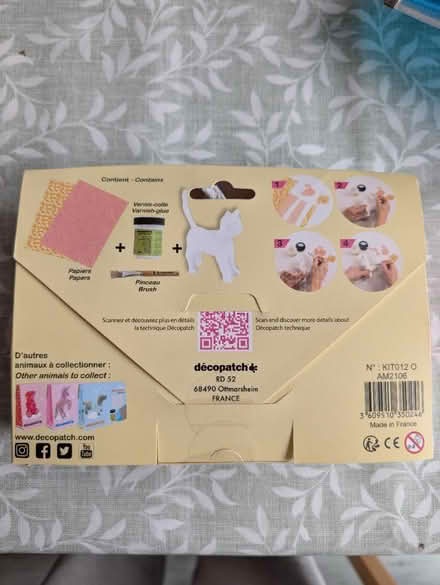 Photo of free Decoupage cat kit (Caerau CF5) #2