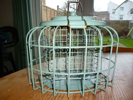 Photo of free Suet Bird Feeder (Cheltenham GL53) #1