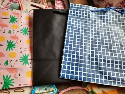 Photo of free Paper gift bags and wrapping (Hollingdean BN1) #2