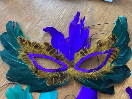 Photo of free Feather masquerade masks x 5 (HR6 Yarpole) #2