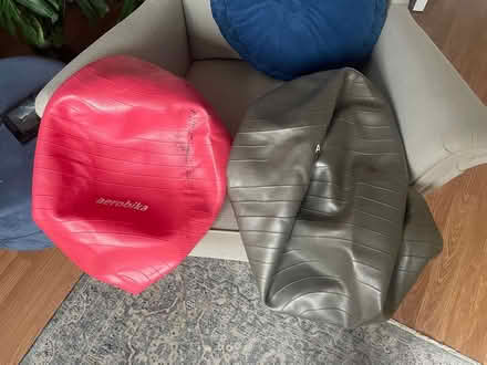 Photo of free Gym balls (Westbourne Park W10) #1