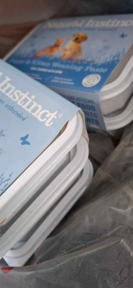 Photo of free Puppy/kitten weaning food (frozen) (Malvern WR14) #1