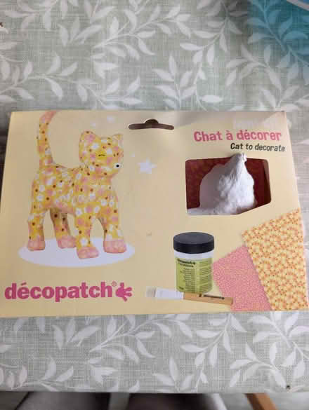 Photo of free Decoupage cat kit (Caerau CF5) #1