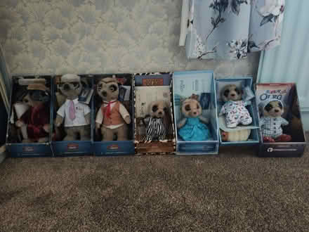 Photo of Meerkat family (Rugby,CV21) #1