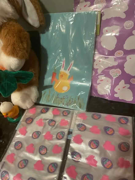 Photo of free Easter! Bunny, treat bags etc (Danbury Forest) #3