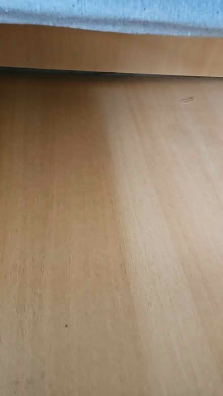 Photo of free Sofa bed (N13 Palmers Green) #1