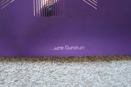 Photo of free Purple Foil Poster (Prospect Hts) #2