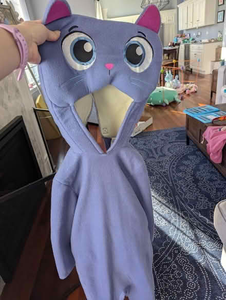 Photo of free Bartleby costume (63rd& main, DG) #2