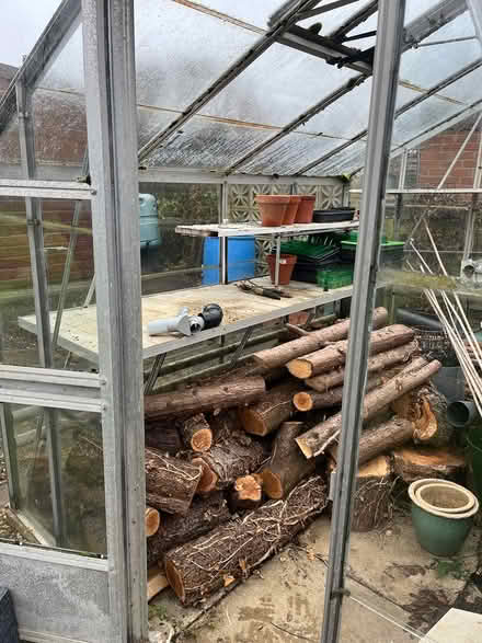 Photo of free Greenhouse (NN10) #4