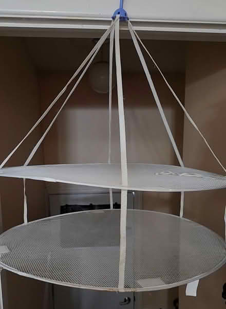 Photo of free Herb etc dryer, made of mesh (Wellington Village) #1