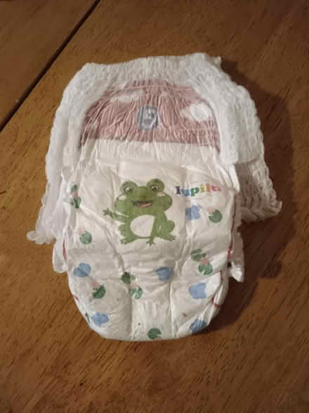 Photo of free Size 5 Lupilu lidl nappies (Cam GL11) #1