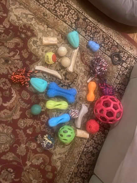 Photo of free Doggy Toys (Montgomery Village) #1