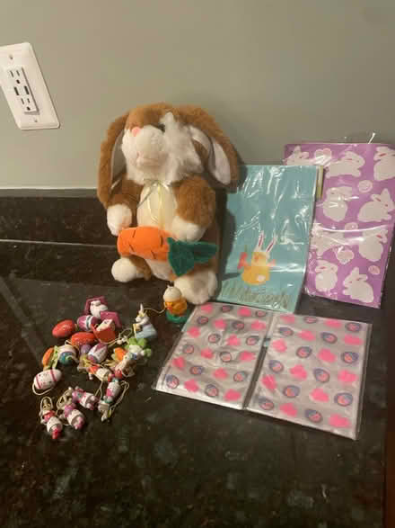 Photo of free Easter! Bunny, treat bags etc (Danbury Forest) #1