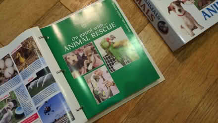 Photo of free Animal Folders (Epsom KT18) #4