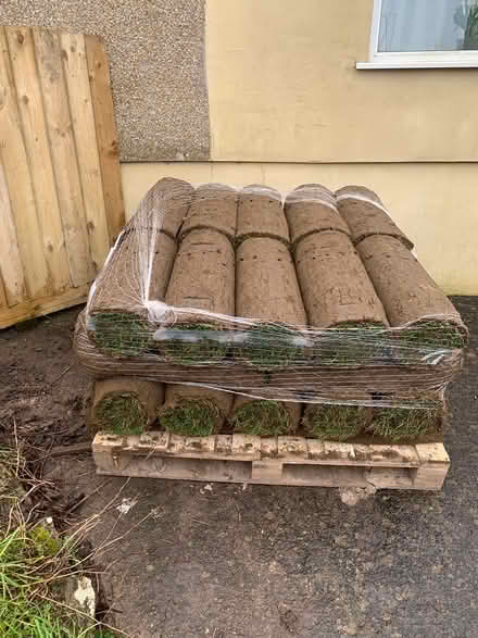 Photo of free 8 sq m Fresh insturf turf rolls (BS11) #1