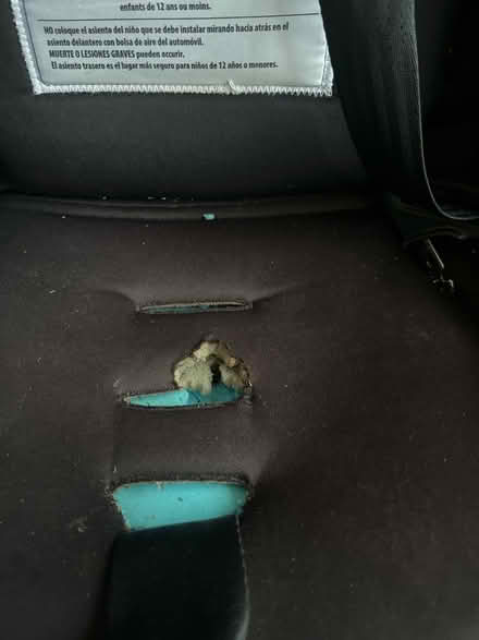 Photo of free Dioni Radian Carseat (Upper Roxborough) #2