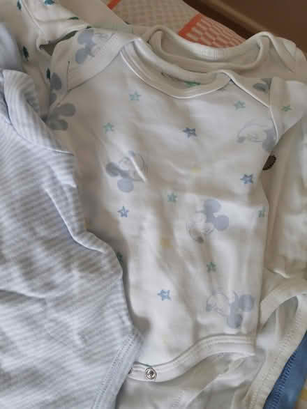 Photo of free Newborn boy clothes (Blackbird Leys OX4) #2