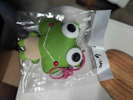 Photo of free Frog keychain (near Central Park) #1