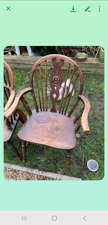 Photo of free Chairs (Harold wood Rm3 0gd) #1