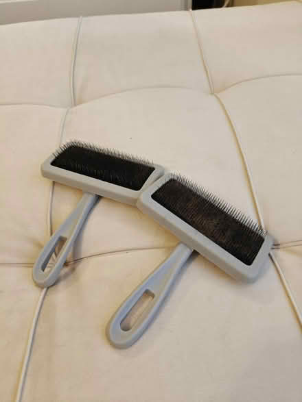 Photo of free Cat brushes (Winchmore Hill N21) #1