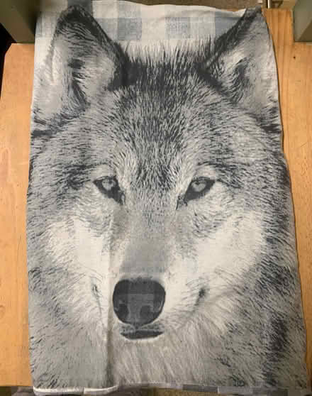 Photo of free Various Grey Bedding (Wirksworth DE4) #4