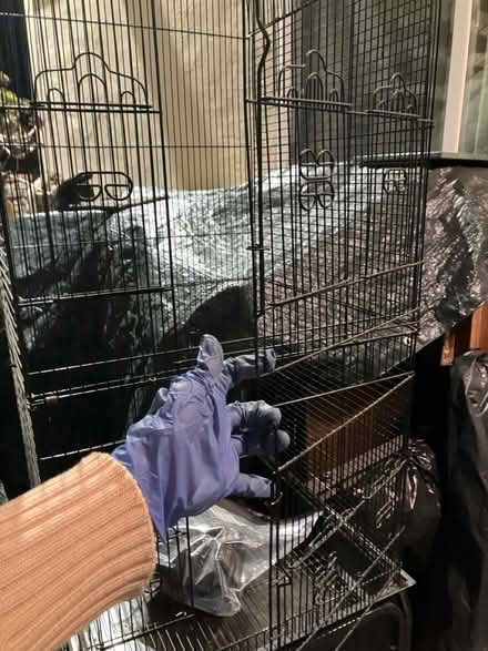 Photo of free Curbside: Birdcage (94025) #3