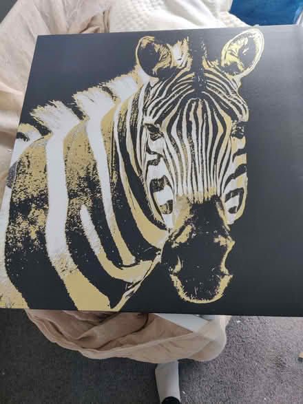 Photo of free Zebra Wall Art (Highfields ST17) #1