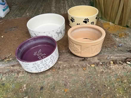 Photo of free Dog bowls (BR1) #2