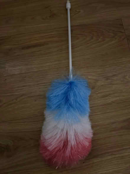 Photo of free Duster (BR1) #1