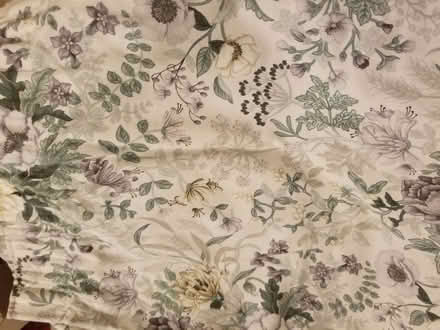 Photo of free pair of curtains (St Albans AL3) #1