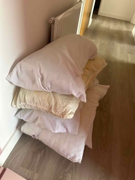 Photo of free 6 pillows (E179SX) #1