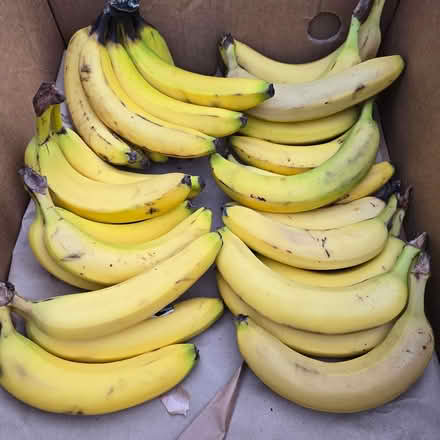 Photo of free Ripe Bananas (Mountain View) #1
