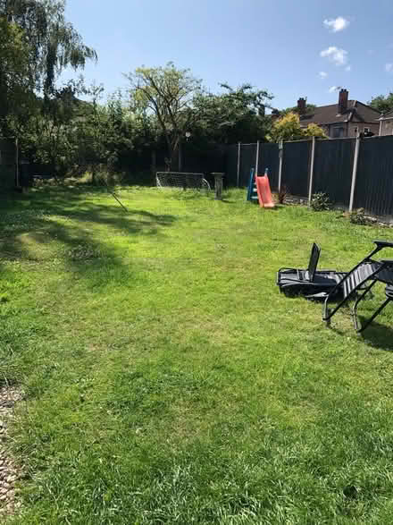 Photo of Garden plants/shrubs/rose bushes (Garston L19) #1