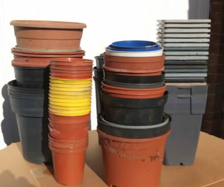 Photo of free Plant Pots assorted sizes x 70 (ME16 - Allington) #2