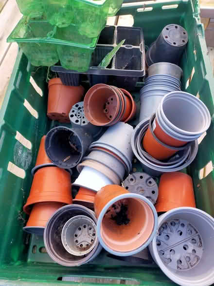 Photo of free Small plantpots (Gobowen SY11) #1