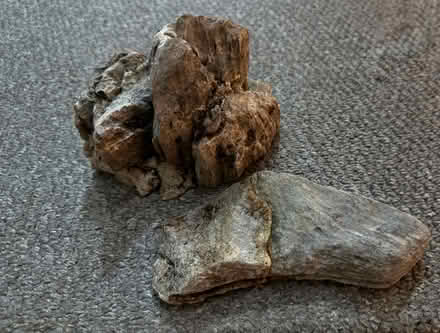 Photo of free Aquarium rocks from a tropical tank. (Southsea PO5) #1