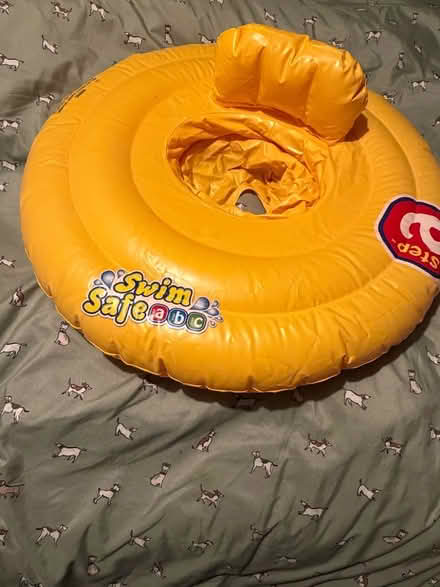 Photo of free Swim Safe Step A ring (Bamber Bridge PR5) #1