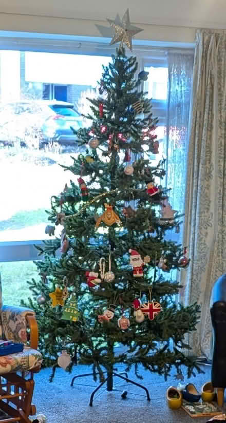 Photo of free 7-foot Artificial Christmas Tree (Hatfield AL9) #2