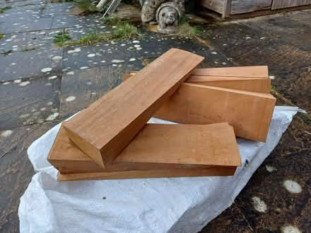 Photo of free Hardwood wedges (Cutteslowe OX2) #1