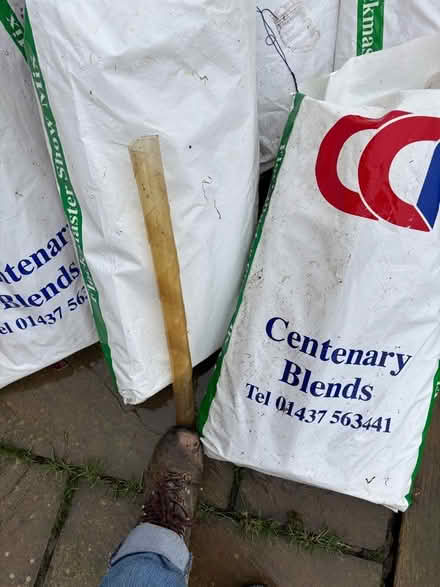 Photo of free 7 tree guards, 100 hedge guards (Bettws-y-crwyn LD7) #3