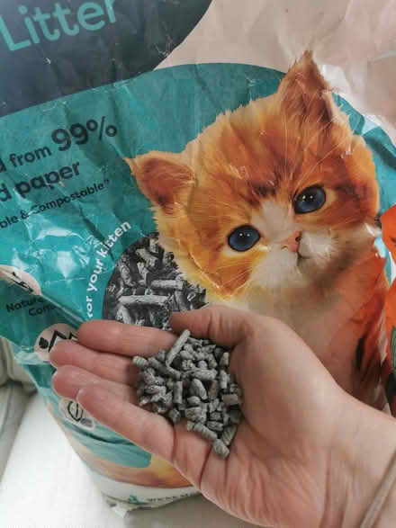Photo of free Cat litter and tinned cat food (Dawlish EX7) #2