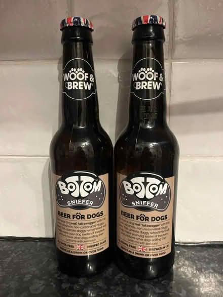 Photo of free Beer for Dogs (Mitcham CR4) #1