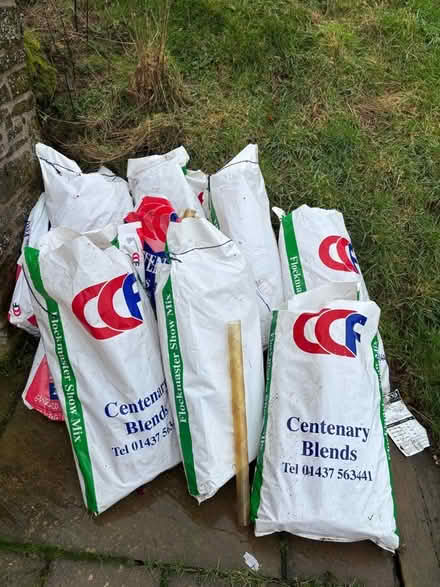 Photo of free 7 tree guards, 100 hedge guards (Bettws-y-crwyn LD7) #2