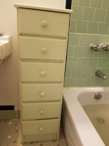 Photo of free 40" Tall Cabinet (Park Slope) #1